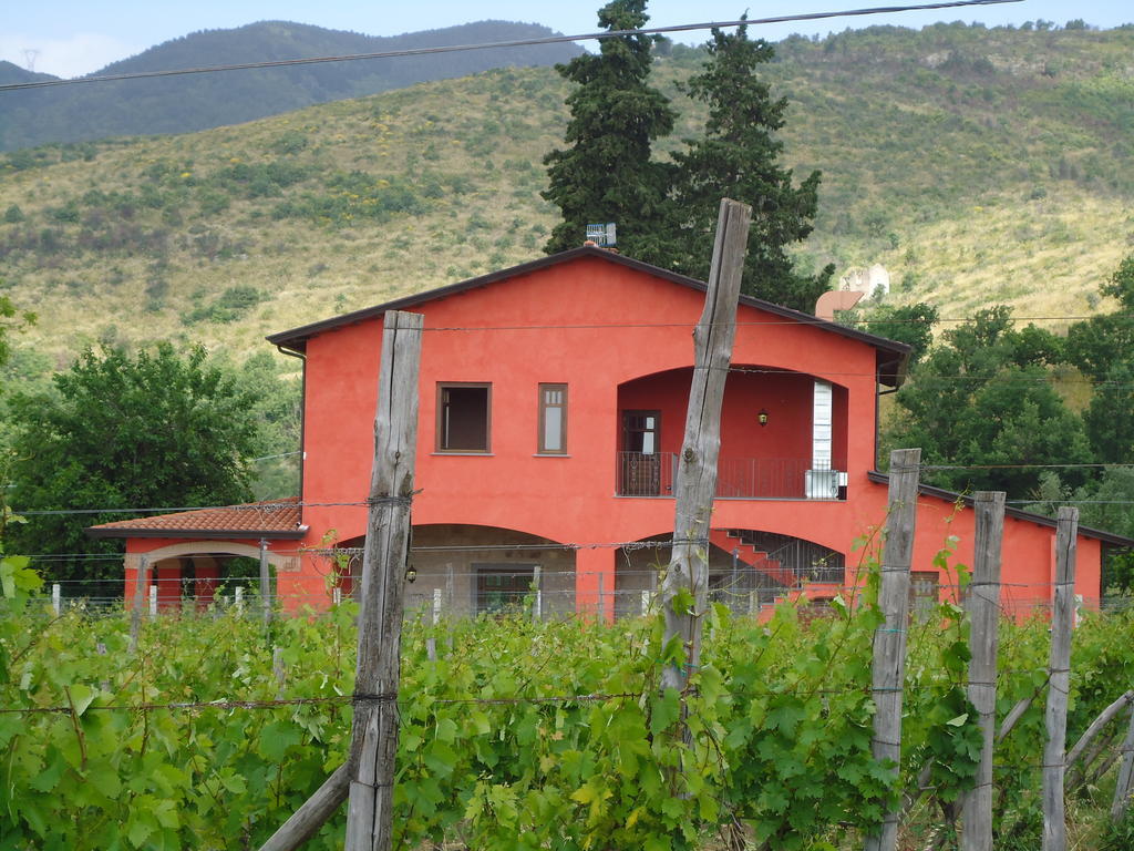 Agrituirsmo Masseria Campierti Falciano del Massico Εξωτερικό φωτογραφία